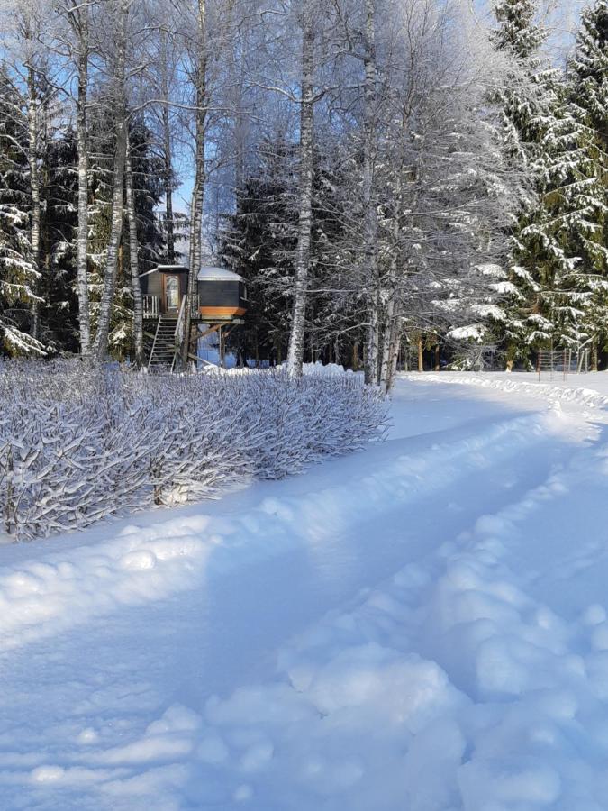 Spa Glamping Kirikumoisa Kültér fotó