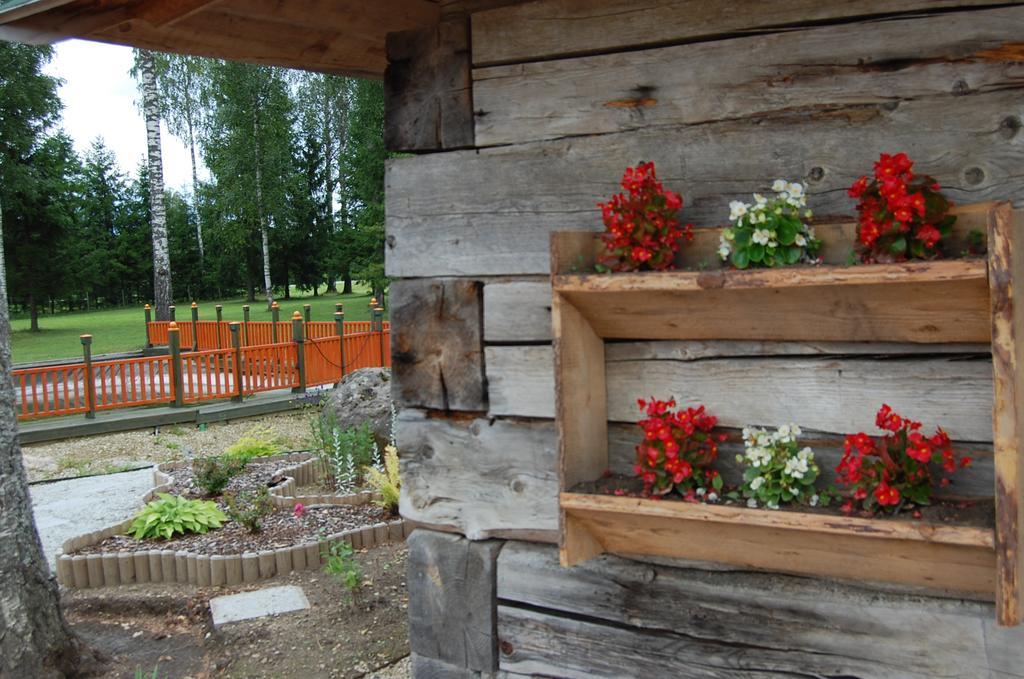 Spa Glamping Kirikumoisa Kültér fotó